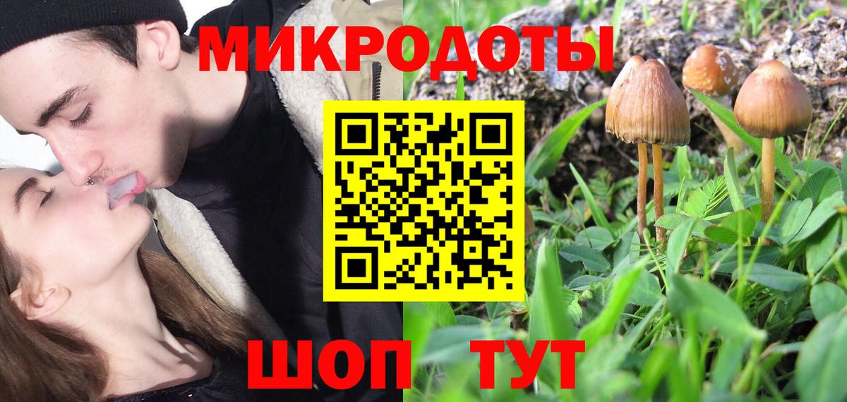 Псилоцибиновые грибы Cubensis  Вход с VPN  Краснознаменск 