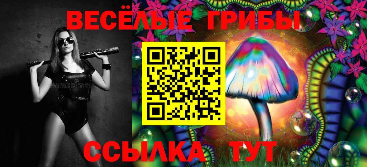 Псилоцибиновые грибы Magic Shrooms  Галлюциногенные грибы Cubensis  Краснознаменск 