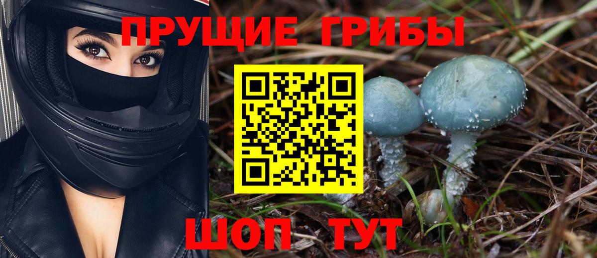 Псилоцибиновые грибы мухоморы Краснознаменск