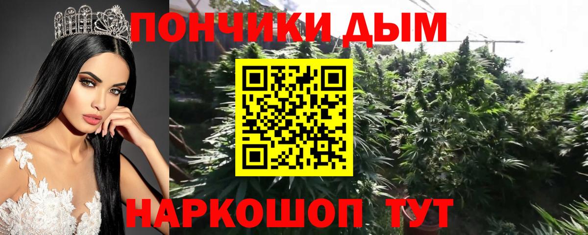 Бошки Шишки LSD WEED  Марихуана SATIVA & INDICA  Бошки Шишки семена  Краснознаменск 